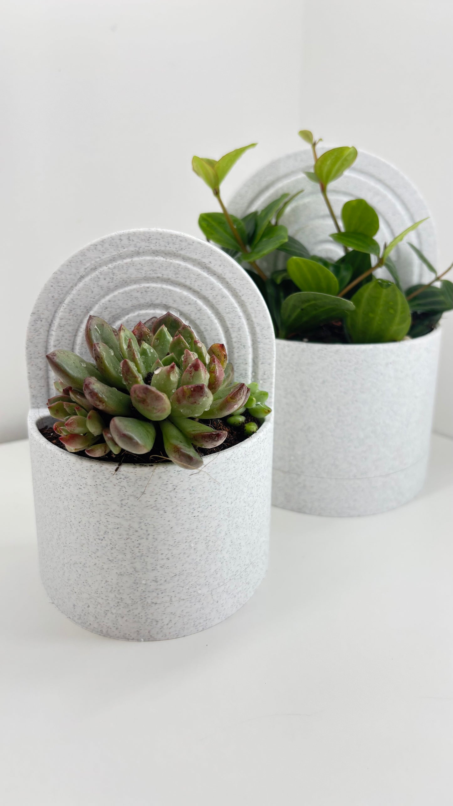 Planter Bookend – Minimalist Modern Design