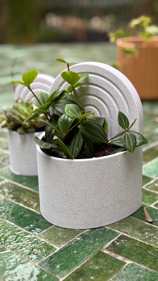 Planter Bookend – Minimalist Modern Design